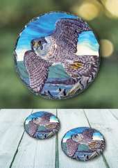 The Hawk - slate coaster