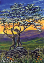 The Fairy Tree II - prints