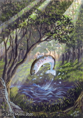 The Salmon of Knowledge - prints